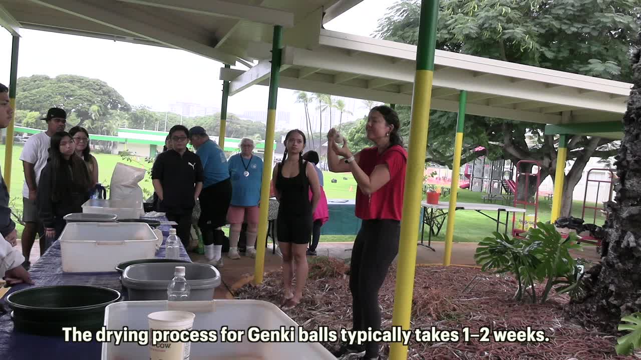 Hawaii School for the Deaf and the Blind