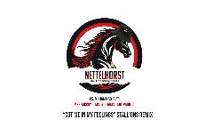 In My Feelings Stallion remix